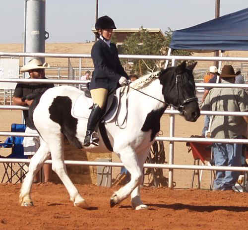 Draft Horse Show 2010-001.jpg (76469 bytes)