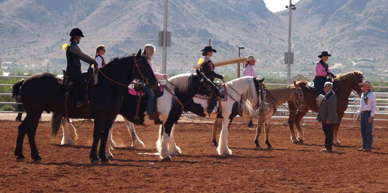 Draft Horse Show 2010-002.jpg (95866 bytes)