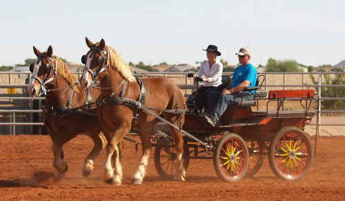 Draft Horse Show 2010-007.jpg (55330 bytes)