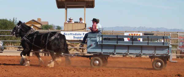 Draft Horse Show 2010-008.jpg (54271 bytes)