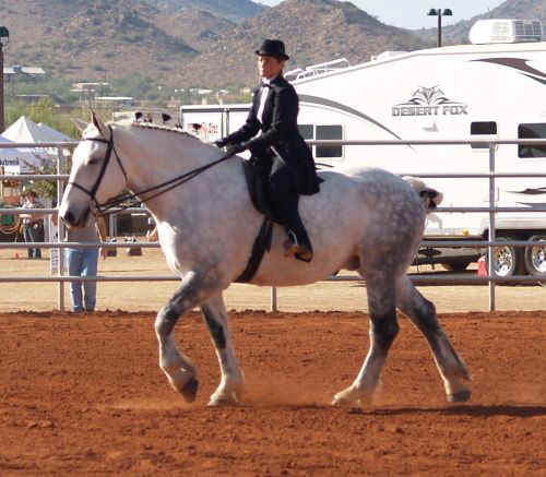 Draft Horse Show 2010-010.jpg (73982 bytes)