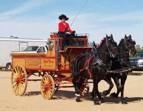 Draft Horse Show 2010-011.jpg (64942 bytes)