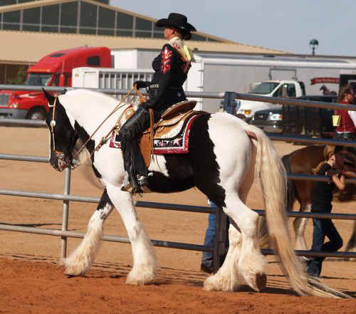 Draft Horse Show 2010-012.jpg (71874 bytes)