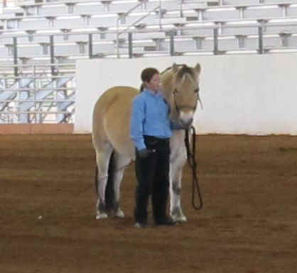 DraftHorseShow2011-001.jpg (35182 bytes)