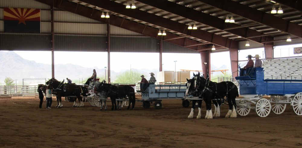 DraftHorseShow2011-005.jpg (91705 bytes)