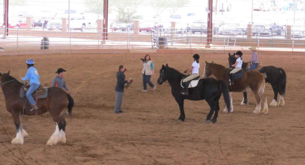 DraftHorseShow2011-007.jpg (88746 bytes)