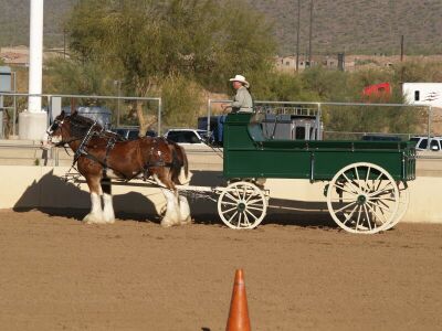 Show-Clyde Wagon.jpg (27013 bytes)