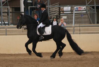 Show-Friesian Air.jpg (20768 bytes)